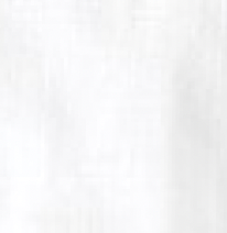 0.5M Organic Cotton/Hemp Canvas Remnant