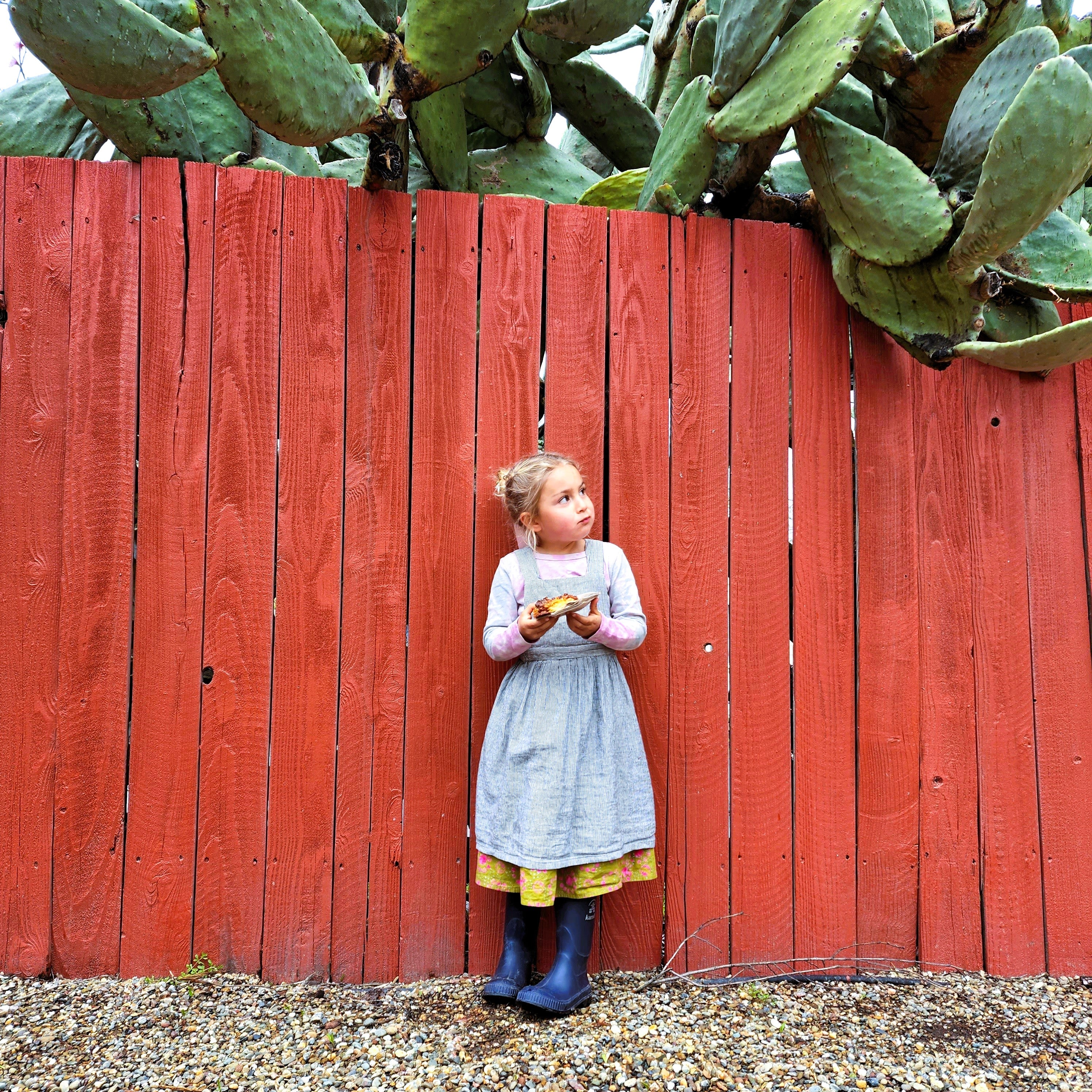 The Overall Dress - Fennel Goods - PDF or Printed Sewing Pattern
