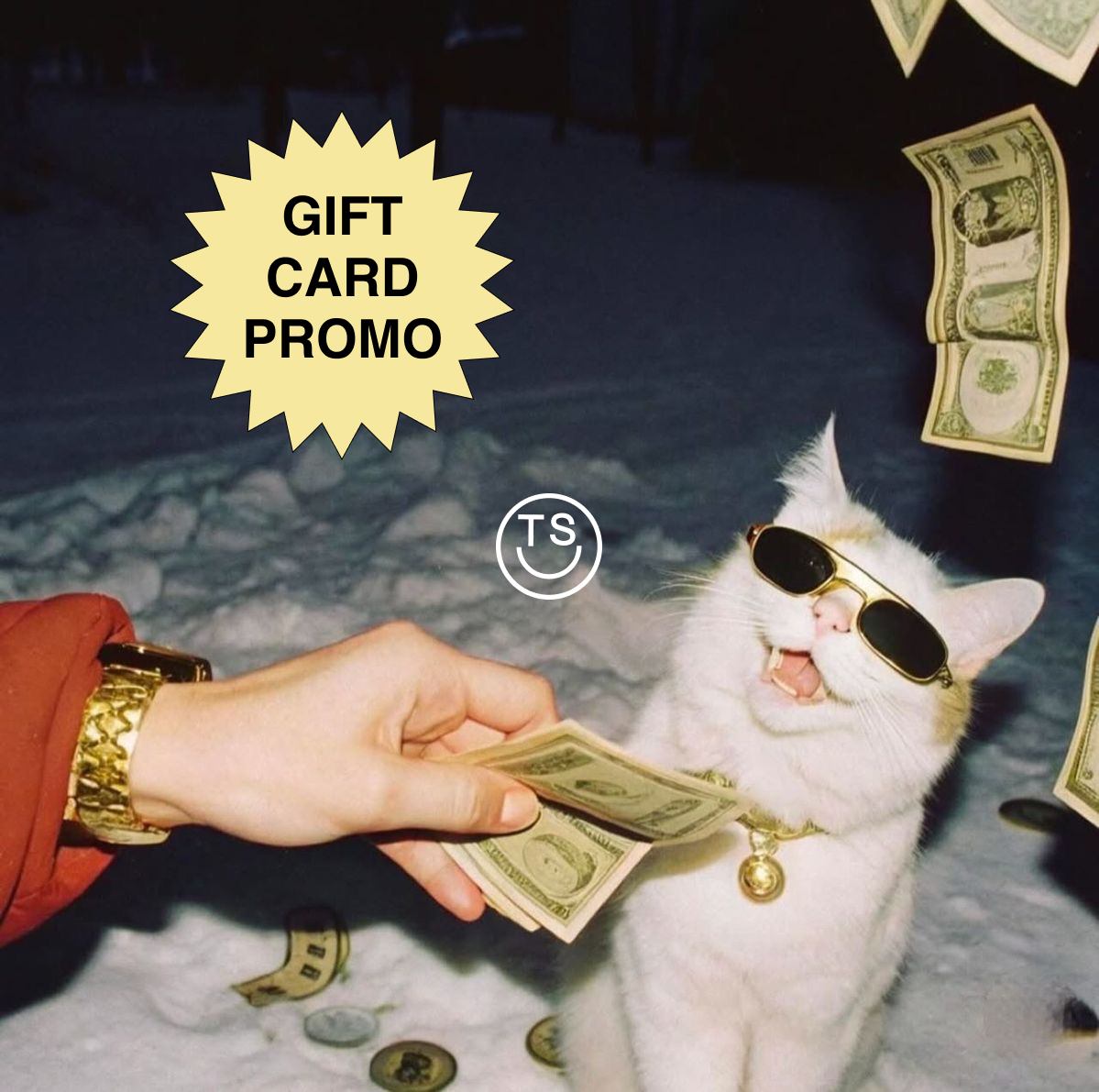 Gift Card Promo ($120 Gift Card for $100)