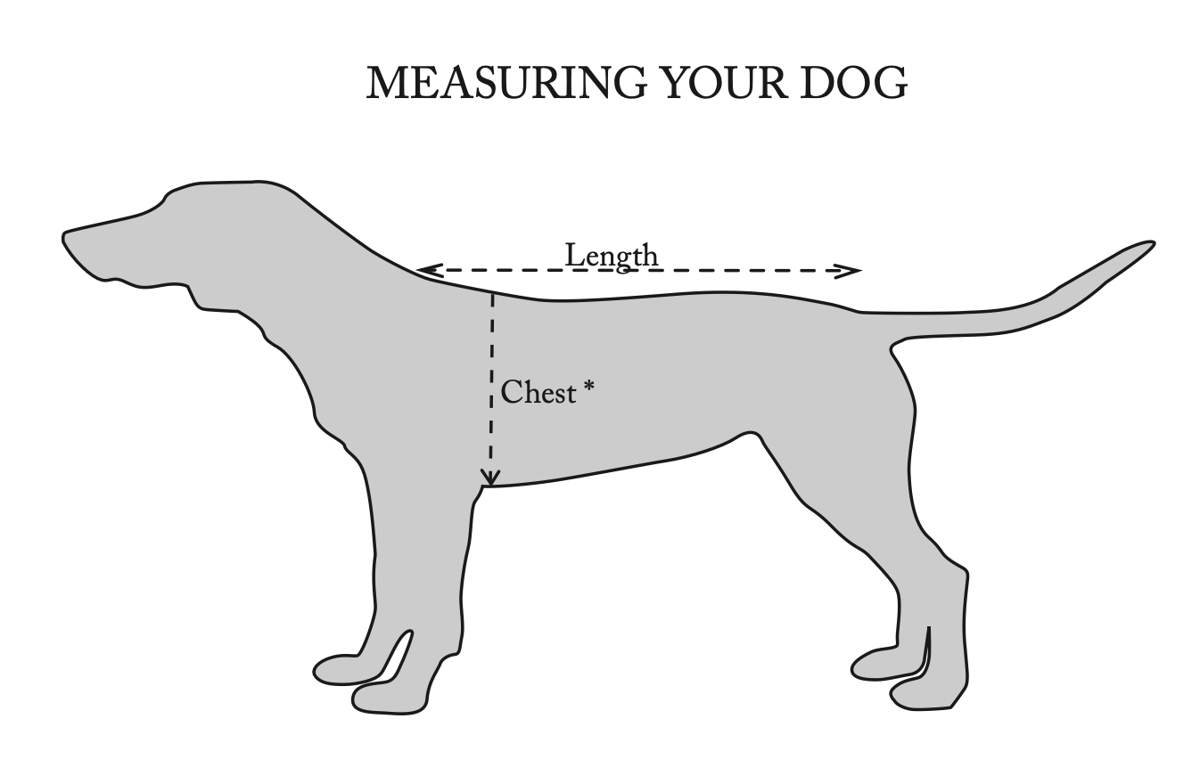 Beginner - The Barka - Sunday, April 12th