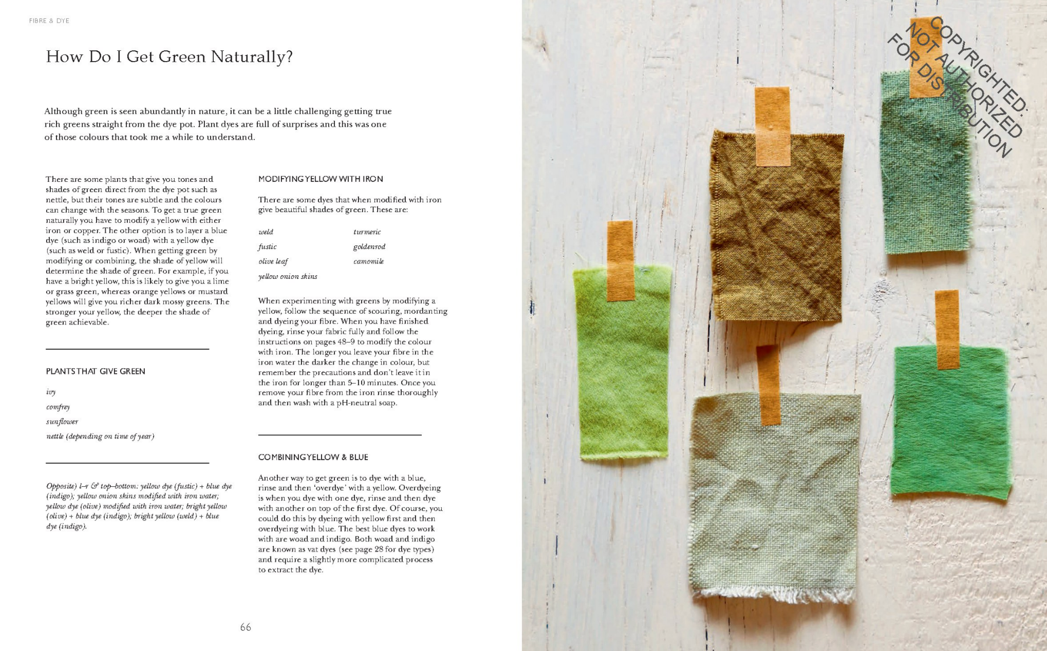 Natural Dyeing Book - Kathyn Davey