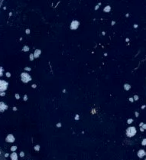 Armour Mercantile Ceramic Pattern Weights