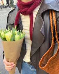 Super Beginner Knitting: The Sophie Scarf (Friday evenings in October)